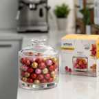 CrystalView Multiuse Food & Snack Container (2093) by Limon