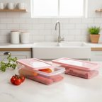 FreshSeal Rectangular Storage Box (Pack of 2) by Limon
