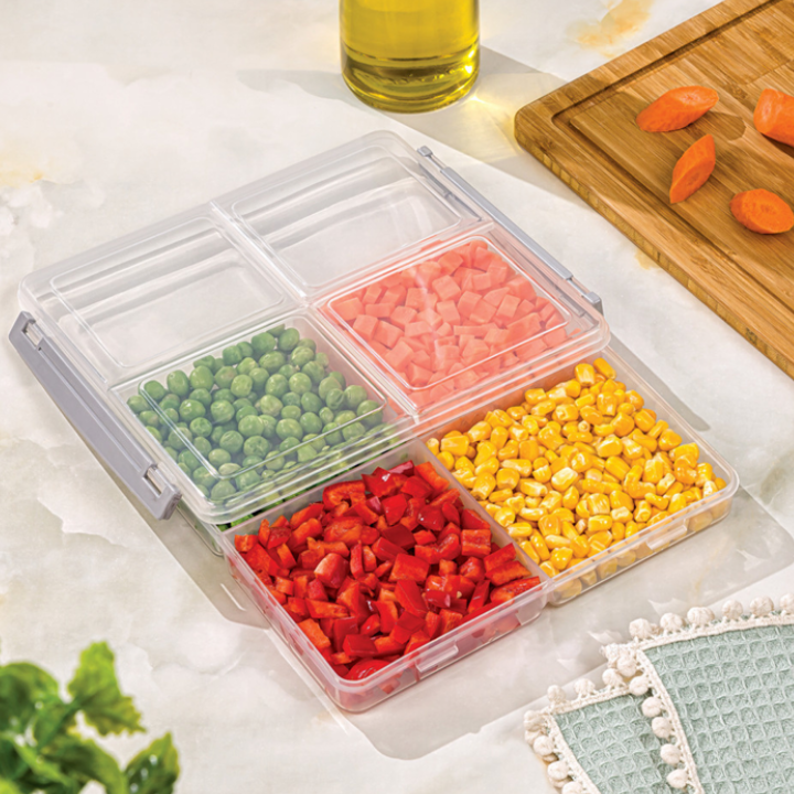 4 Section Freezer Box with Lid (11435) by Limon